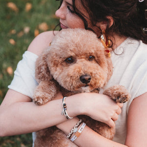 Paws Hair Tie Bracelet Set