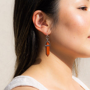 Double Point Crystal Earrings