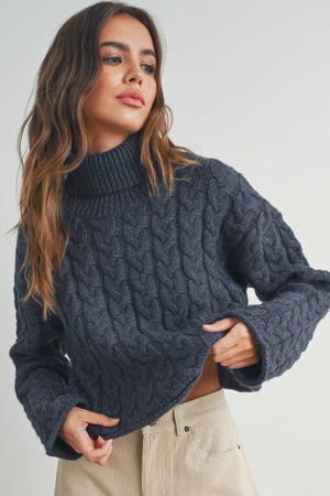 Thick Braid With Turtle Neck Long-Sleeve Sweater