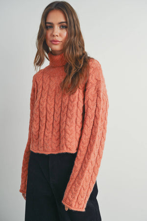 Thick Braid With Turtle Neck Long-Sleeve Sweater