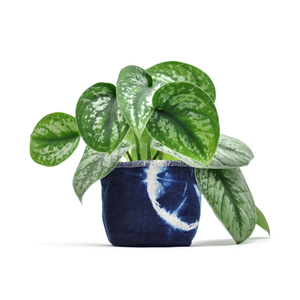 Shibori Indigo Canvas Planter, 4 in