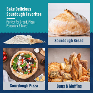 Organic Non-GMO Mature Sourdough Starter (12 g)