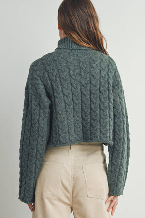 Thick Braid With Turtle Neck Long-Sleeve Sweater