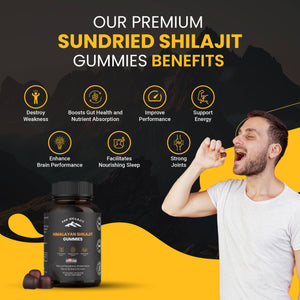 Himalayan Shilajit Gummies - 60 Count