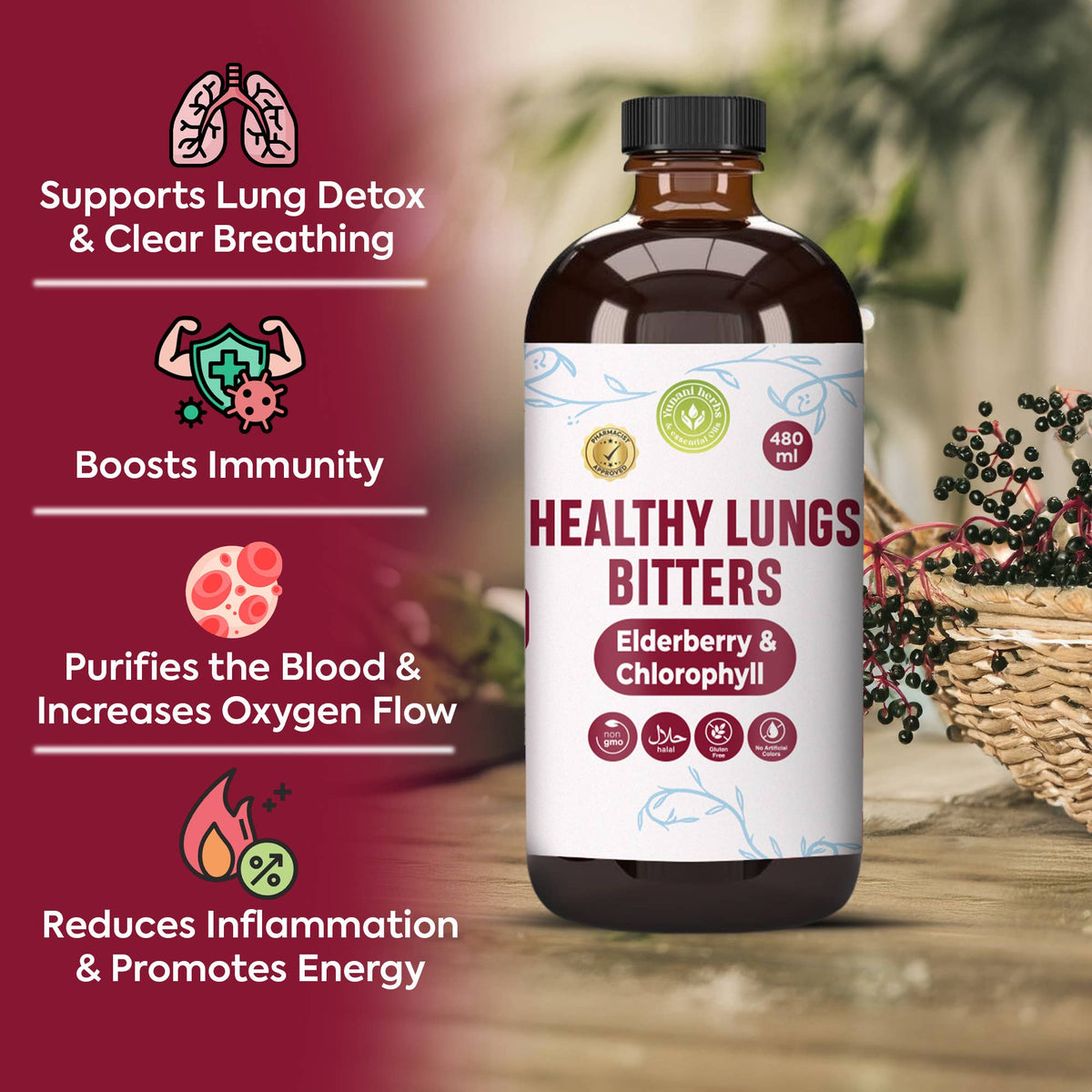 Healthy Lungs Bitters with Elderberry & Chlorophyll