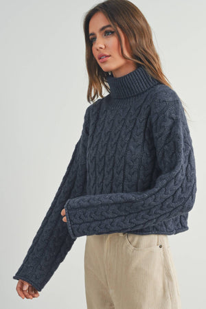 Thick Braid With Turtle Neck Long-Sleeve Sweater