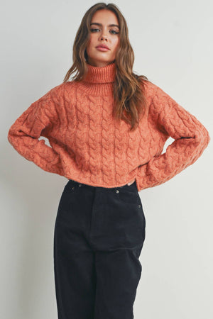 Thick Braid With Turtle Neck Long-Sleeve Sweater