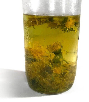 Dandelion Loose Tea