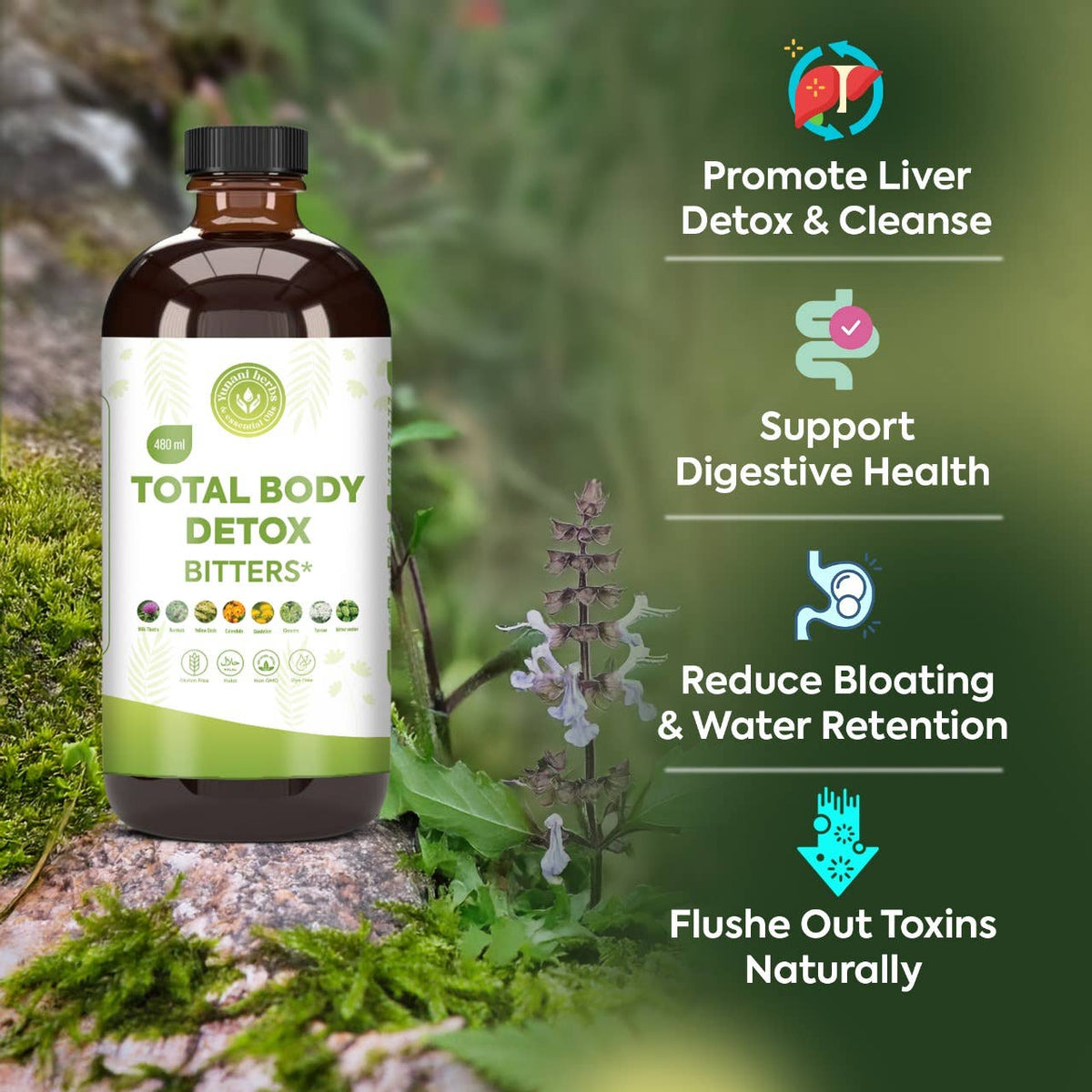 Total Body Detox Living Bitters 480ml