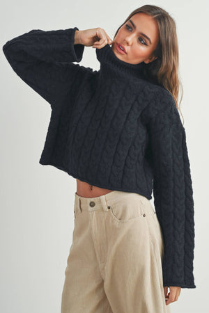Thick Braid With Turtle Neck Long-Sleeve Sweater