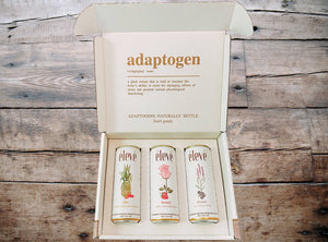 Fire, Beauty and Dream Botanical Water Sampler Gift Box