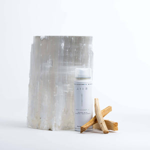 TRAVEL SIZE DRY SHAMPOO