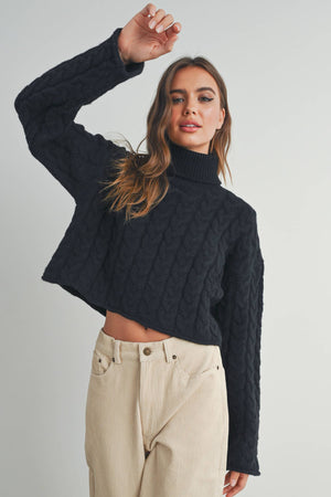 Thick Braid With Turtle Neck Long-Sleeve Sweater