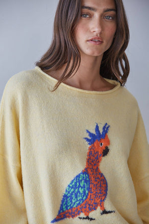 Bird Print Knit Pullover Sweater – Creamy Yellow