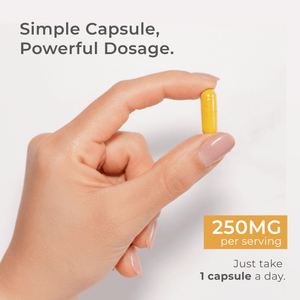 Dihydroberberine Capsules