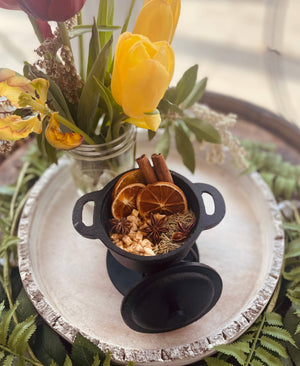 Cozy Home Simmer Pot Blend