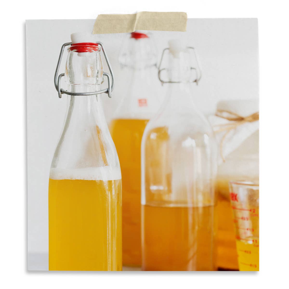 Complete Kombucha Brewing Starter Kit – Classic