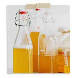 Complete Kombucha Brewing Starter Kit – Classic