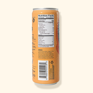 Sly™ CHILL - 12oz Relax + Calm Relaxation Drink