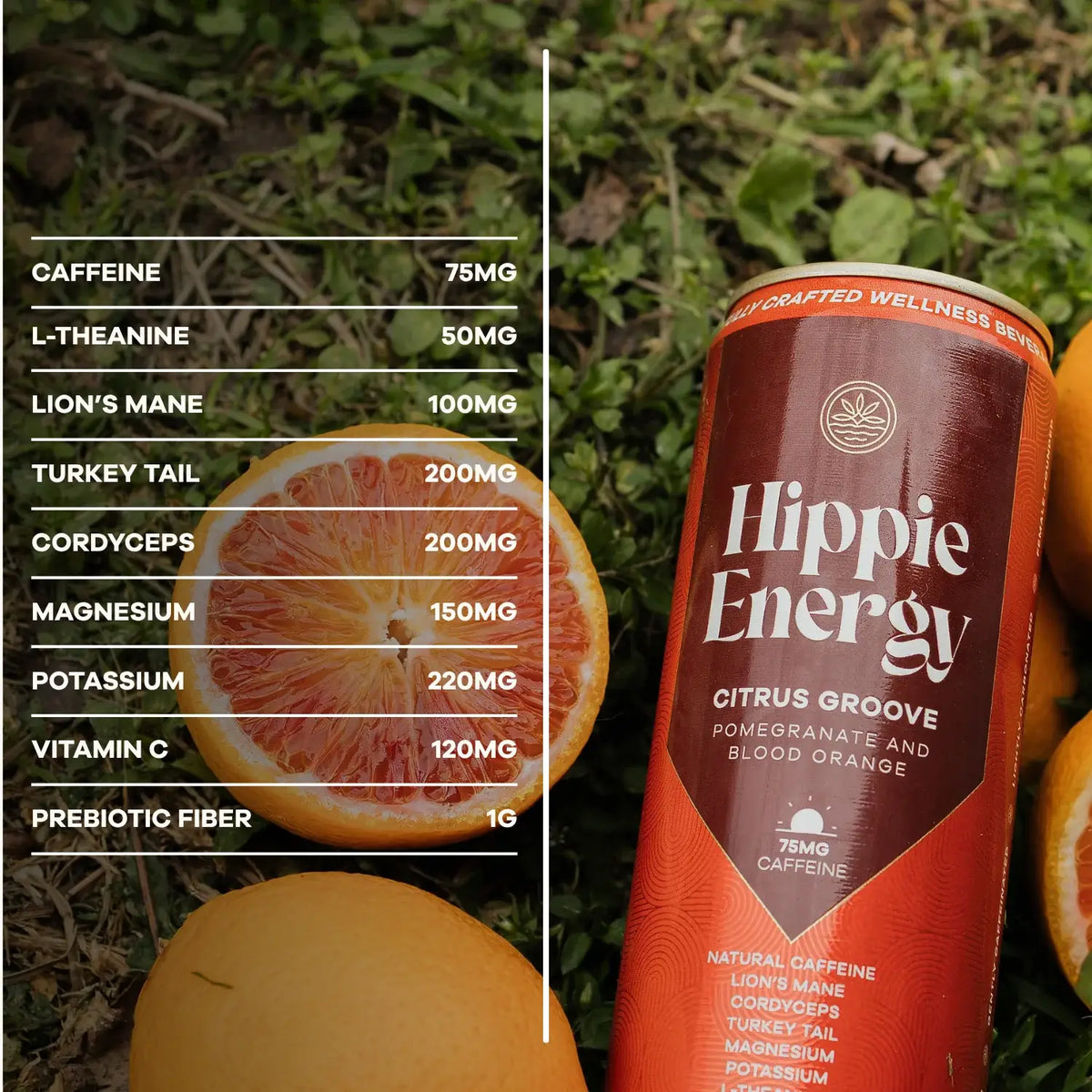 Citrus Groove - All Natural Functional Energy Drink