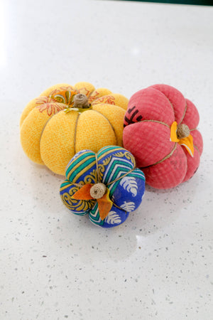 Saree Pumpkin - Small