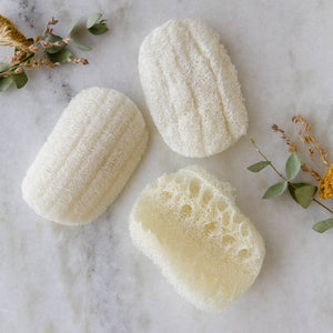 Compostable Dish Sponge - 3 Pack