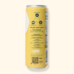 Sly™ BOOST Tropical - 12oz Focus + Balance (Caffeine FREE)