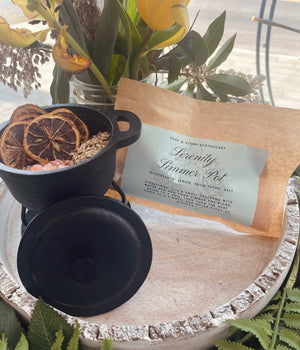 Lemon and Eucalyptus Simmer Pot Blend
