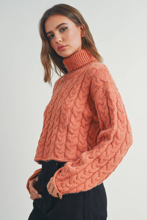Thick Braid With Turtle Neck Long-Sleeve Sweater