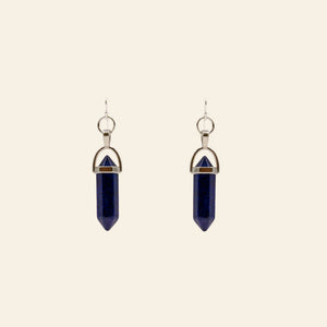 Double Point Crystal Earrings