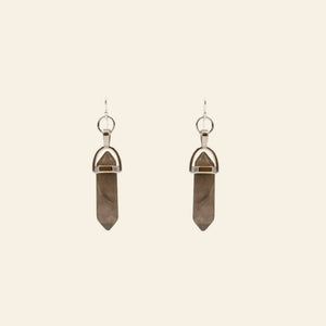 Double Point Crystal Earrings