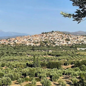 Single-Estate Koroneiki Extra Virgin Olive Oil – 250ml