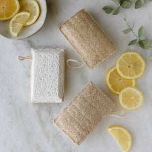 Loofah + Cellulose Kitchen & Cleaning Sponge