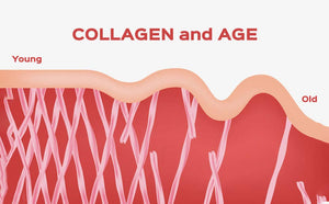 Collagen+ with Hydrolyzed Collagen Powder - Biotin - Hyaluronic Acid & Vitamin C