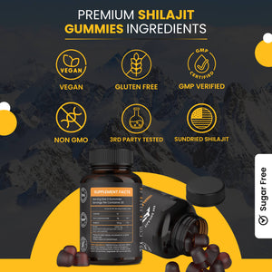 Himalayan Shilajit Gummies - 60 Count