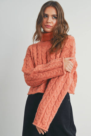 Thick Braid With Turtle Neck Long-Sleeve Sweater