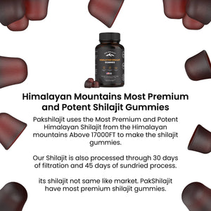 Himalayan Shilajit Gummies - 60 Count
