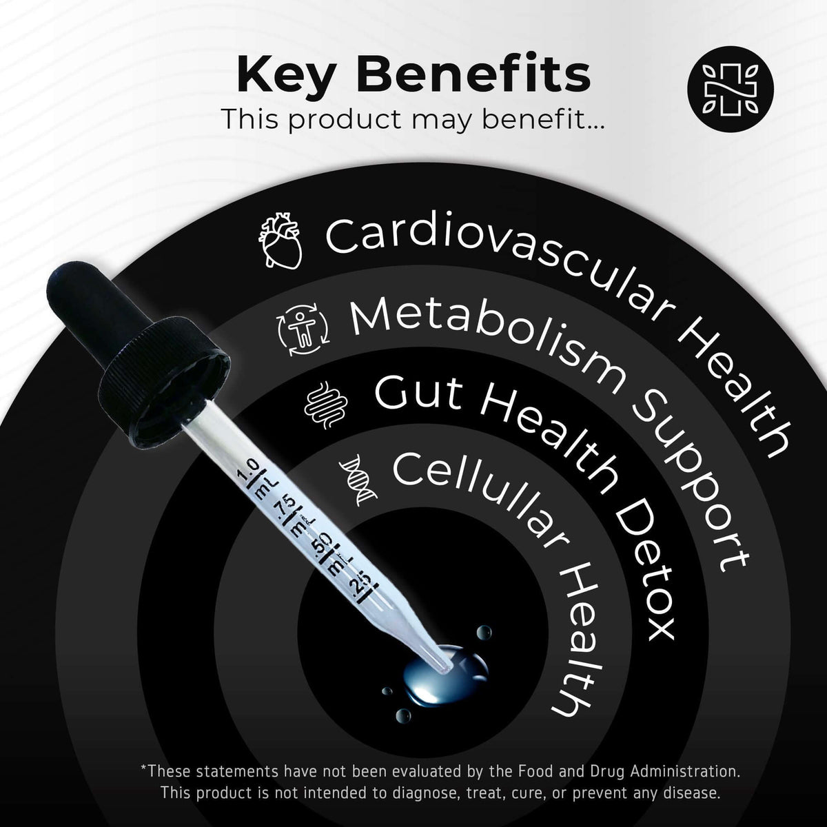 Spermidine Drops 2400mg