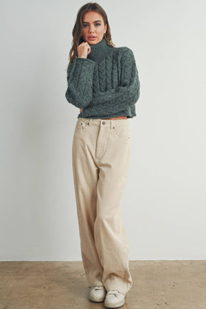 Thick Braid With Turtle Neck Long-Sleeve Sweater
