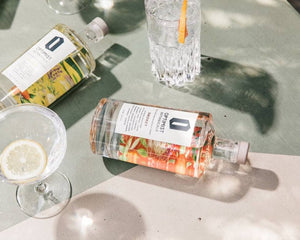 OPTIMIST Botanical – Bright or Fresh Botanical Spirit (500ml)