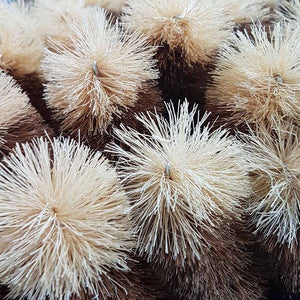 Premium Boxed Bottle Brush Extra Large - All Natural