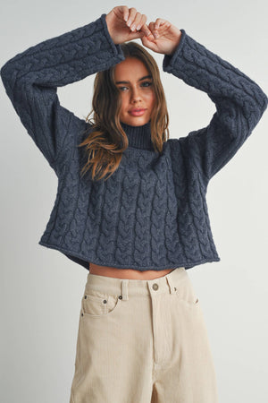 Thick Braid With Turtle Neck Long-Sleeve Sweater