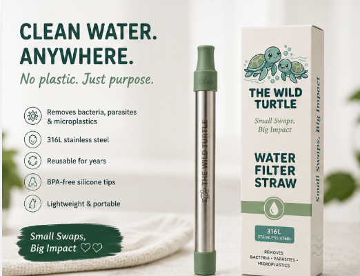 Stainless Steel Personal Water Filter Straw