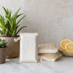 Loofah + Cellulose Kitchen & Cleaning Sponge