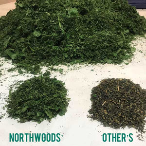 Nettle Tea