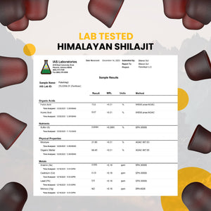 Himalayan Shilajit Gummies - 60 Count