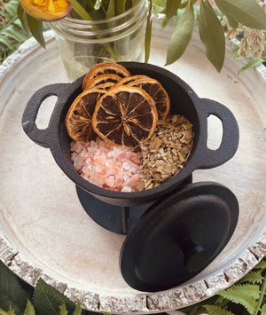 Lemon and Eucalyptus Simmer Pot Blend