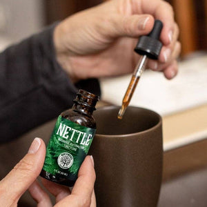 Nettle Tincture — Single Extraction
