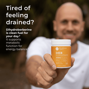 Dihydroberberine Capsules