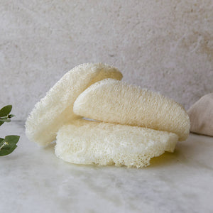 Compostable Dish Sponge - 3 Pack